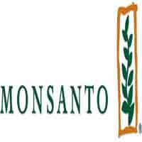 Menor Aprendiz Monsanto